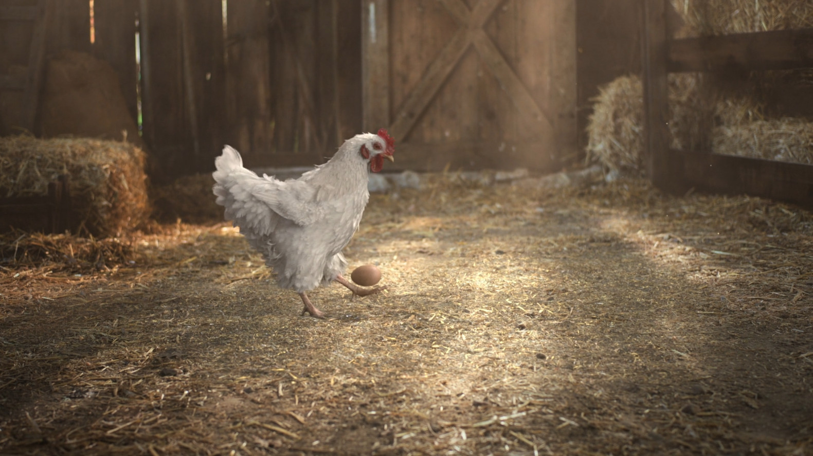 Musique pub kfc nos 300 eleveurs selectionnent les meilleurs poulets Juin 2021