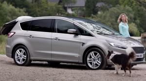 ford S max chien 2