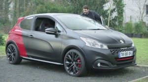 peugeot 208 GTI dog 3