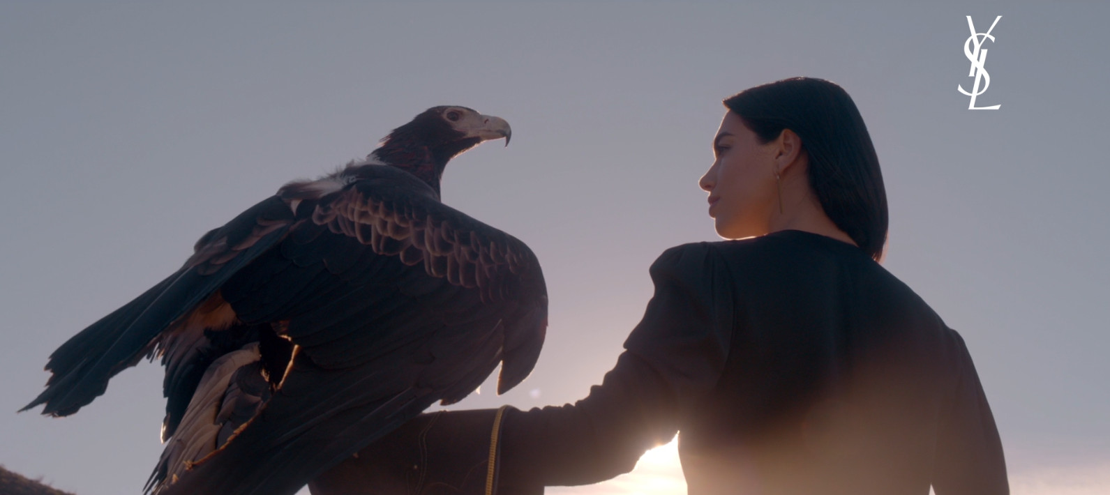 Pub Libre De Yves Saint Laurent Yves Saint Laurent - Libre, le nouveau parfum féminin - Dua Lipa -  Packshotmag