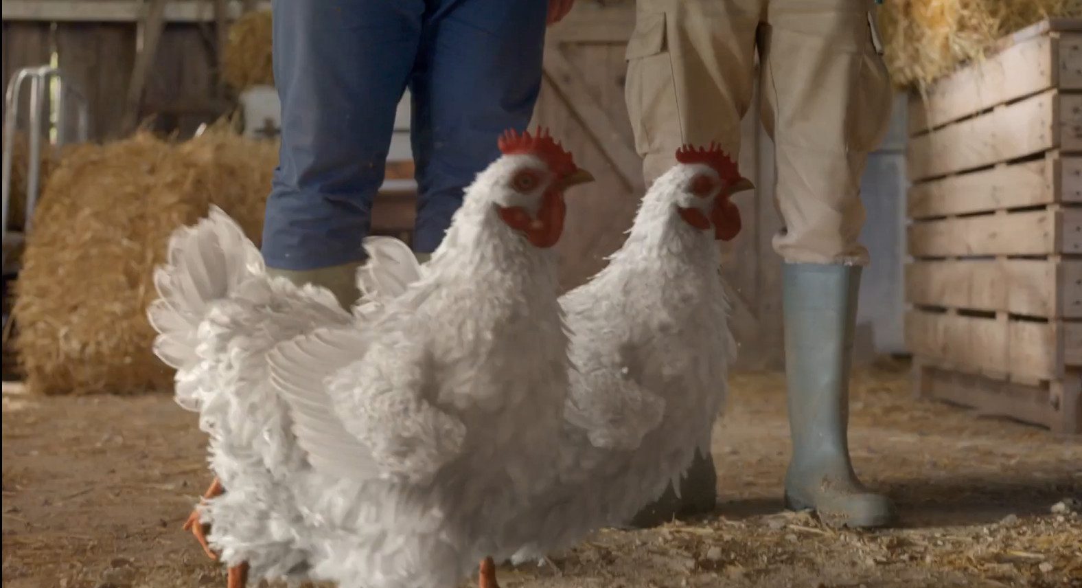 KFC Made in France Packshotmag